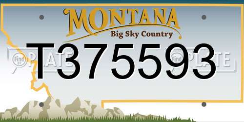 T375593 Montana License Plate