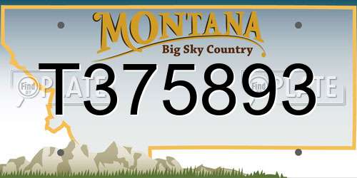 T375893 Montana License Plate