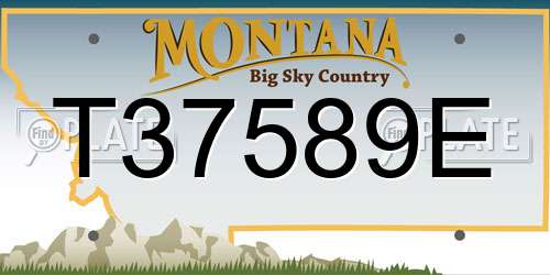T37589E Montana License Plate