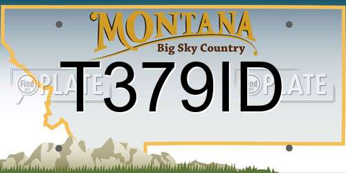 T379ID Montana License Plate