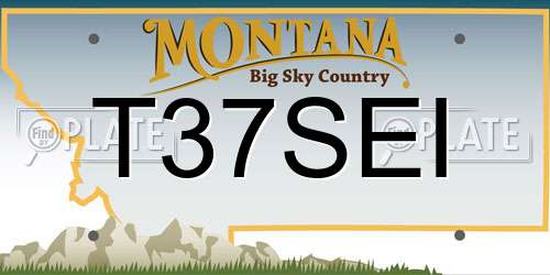T37SEI Montana License Plate