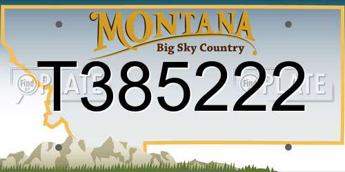 T385222 Montana License Plate