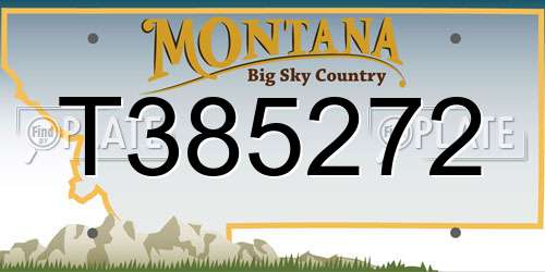 T385272 Montana License Plate