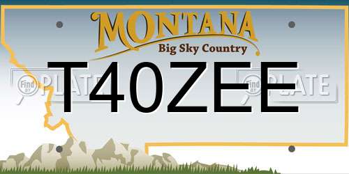 T40ZEE Montana License Plate