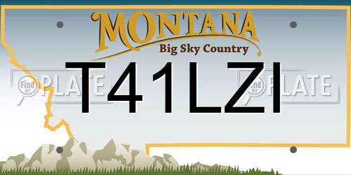 T41LZI Montana License Plate