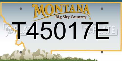 T45017E Montana License Plate