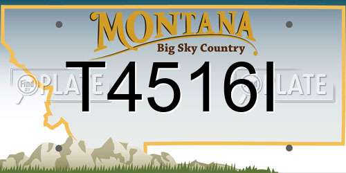 T4516I Montana License Plate
