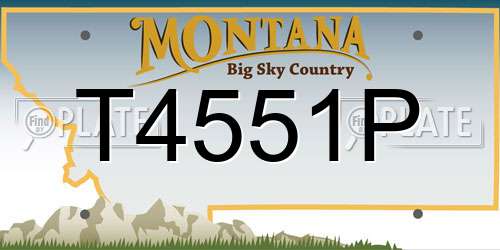 T4551P Montana License Plate