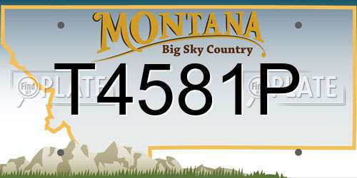 T4581P Montana License Plate