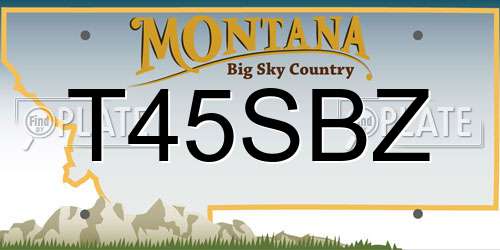 T45SBZ Montana License Plate