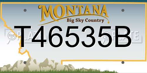 T46535B Montana License Plate