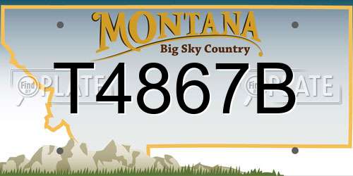 T4867B Montana License Plate