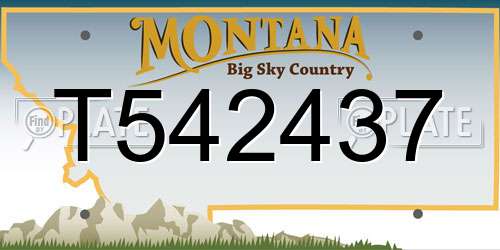 T542437 Montana License Plate