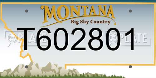 T602801 Montana License Plate