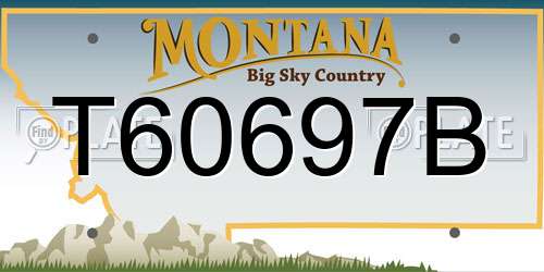 T60697B Montana License Plate