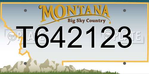 T642123 Montana License Plate