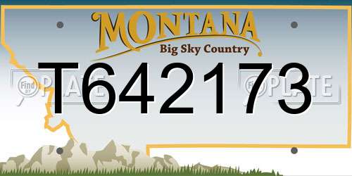 T642173 Montana License Plate