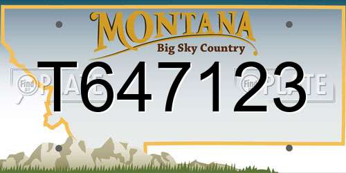 T647123 Montana License Plate