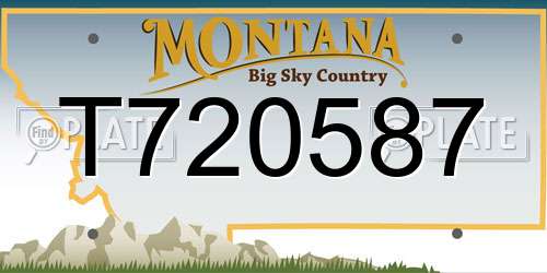 T720587 Montana License Plate