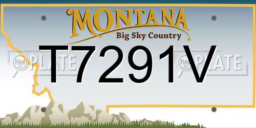 T7291V Montana License Plate