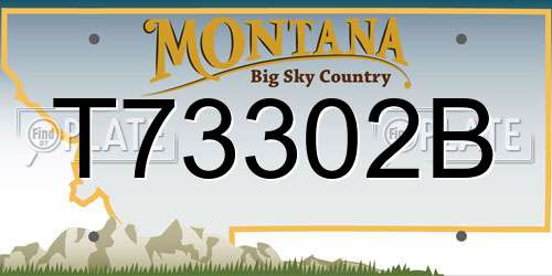T73302B Montana License Plate