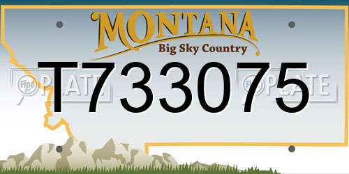 T733075 Montana License Plate