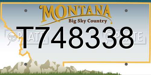 T748338 Montana License Plate