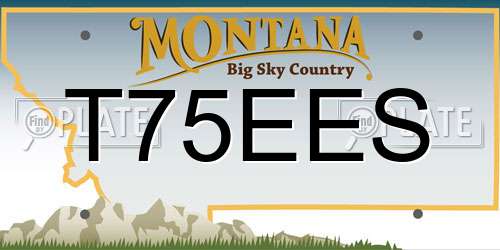 T75EES Montana License Plate