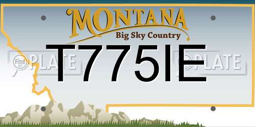 T775IE Montana License Plate