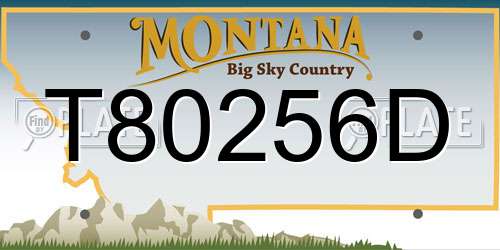 T80256D Montana License Plate