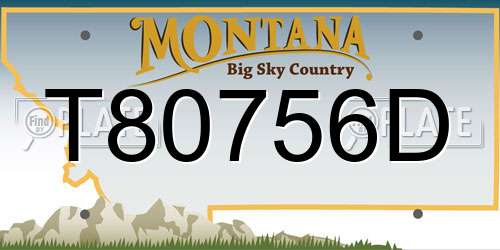 T80756D Montana License Plate