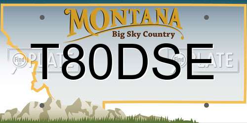 T80DSE Montana License Plate