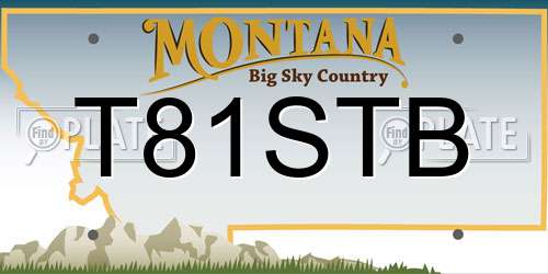 T81STB Montana License Plate