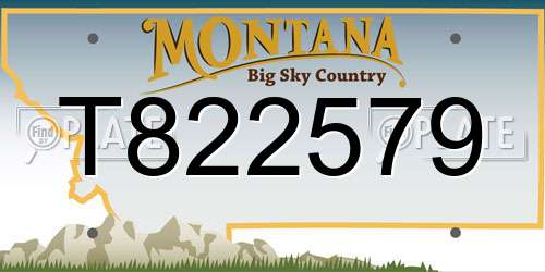 T822579 Montana License Plate