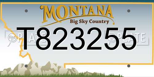 T823255 Montana License Plate