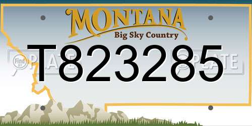 T823285 Montana License Plate