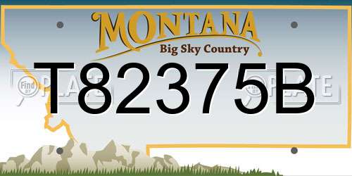 T82375B Montana License Plate