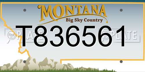 T836561 Montana License Plate