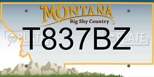T837BZ Montana License Plate