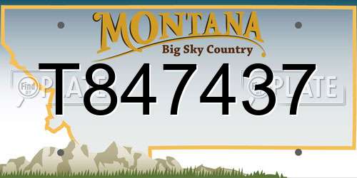 T847437 Montana License Plate