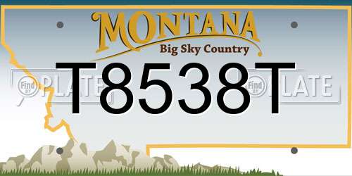 T8538T Montana License Plate