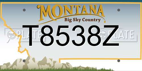 T8538Z Montana License Plate