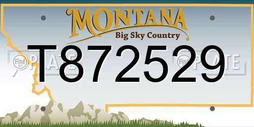 T872529 Montana License Plate