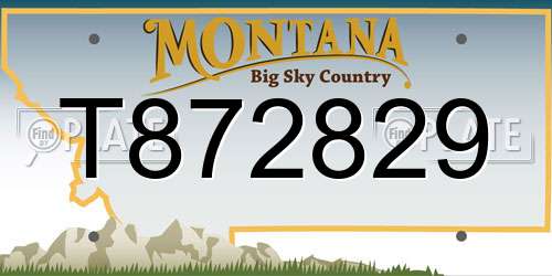 T872829 Montana License Plate