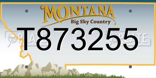 T873255 Montana License Plate