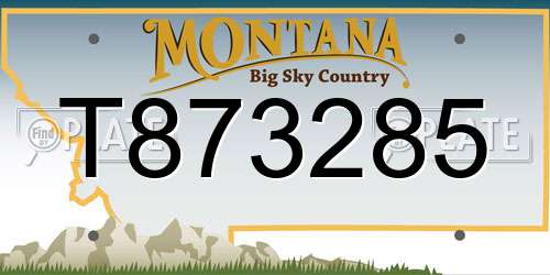 T873285 Montana License Plate