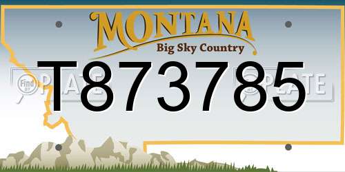 T873785 Montana License Plate