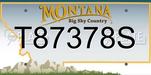 T87378S Montana License Plate