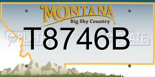 T8746B Montana License Plate