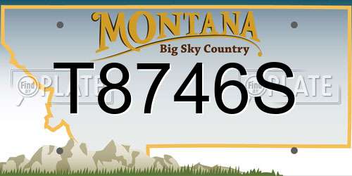 T8746S Montana License Plate